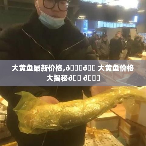 大黄鱼价格大揭秘，最新价格走势分析