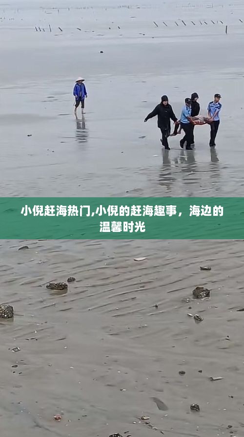 小倪的赶海趣事与海边温馨时光