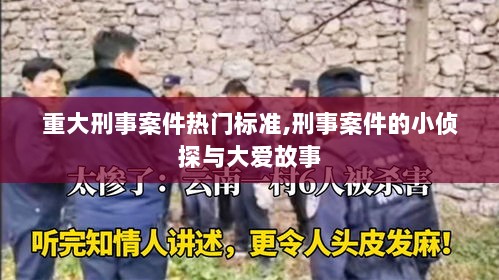 重大刑事案件热门标准与小侦探的深沉大爱故事