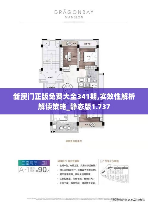 新澳门正版免费大全341期,实效性解析解读策略_静态版1.737