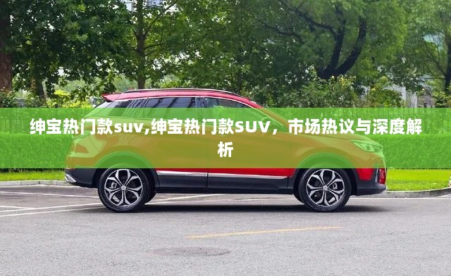 绅宝热门款SUV，市场热议与深度解析