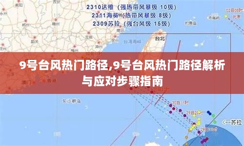 9号台风热门路径解析与应对步骤指南