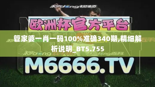 管家婆一肖一码100%准确340期,精细解析说明_BT5.755