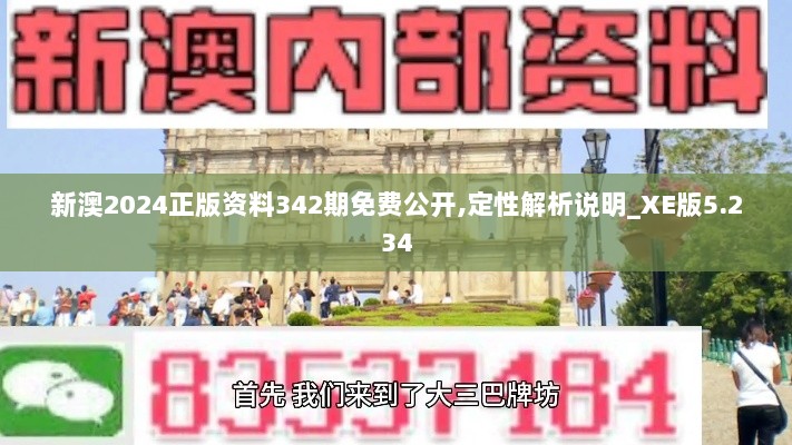 新澳2024正版资料342期免费公开,定性解析说明_XE版5.234