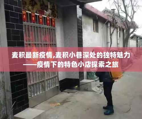 麦积疫情最新动态与小巷深处的特色小店探索之旅