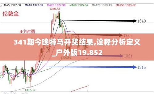 341期今晚特马开奖结果,诠释分析定义_户外版19.852