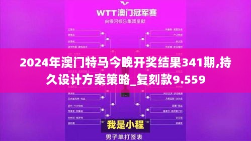 2024年澳门特马今晚开奖结果341期,持久设计方案策略_复刻款9.559