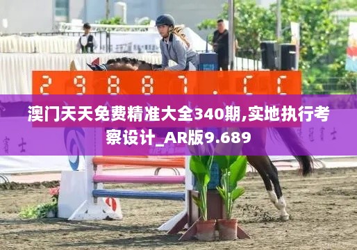 澳门天天免费精准大全340期,实地执行考察设计_AR版9.689