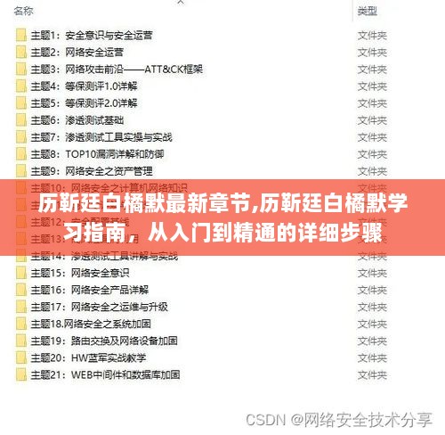 历靳廷白橘默学习指南，从入门到精通的详细步骤