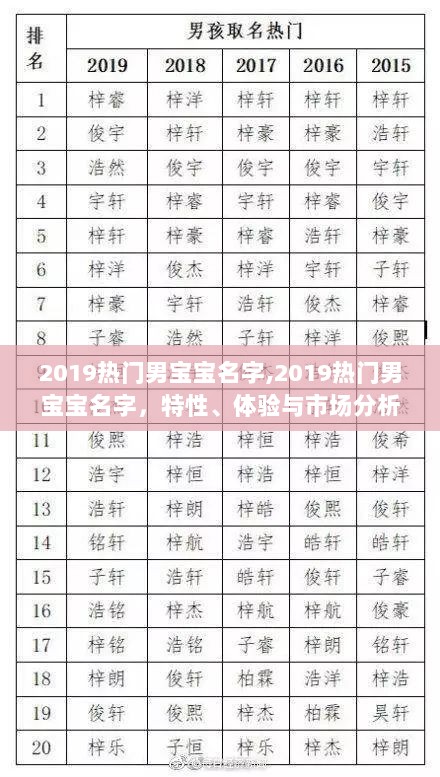 2019热门男宝宝名字市场分析，特性、体验与流行趋势