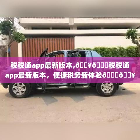 税税通app最新版本，便捷税务新体验的领航者