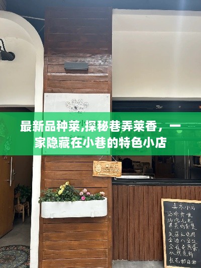 探秘巷弄莱香，隐藏在小巷的特色小店——最新品种莱