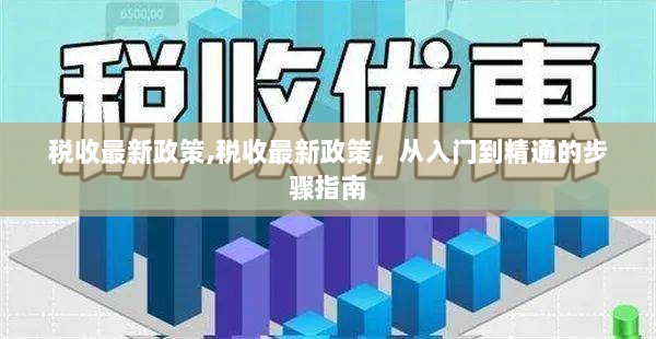 税收最新政策，从入门到精通的步骤指南