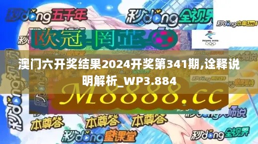 澳门六开奖结果2024开奖第341期,诠释说明解析_WP3.884