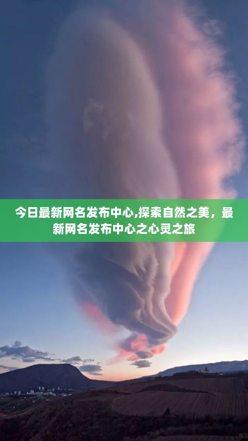 探索自然之美的心灵之旅，最新网名发布中心