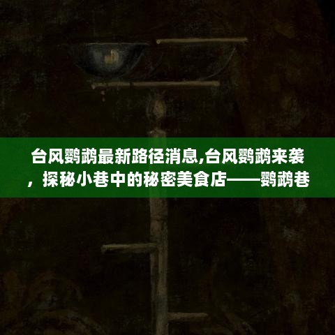 台风鹦鹉来袭，探秘鹦鹉巷的味觉奇遇与最新路径消息