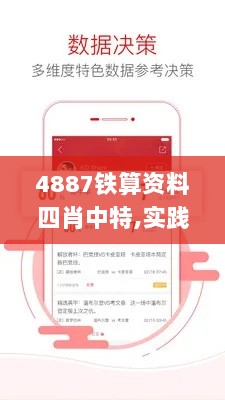 4887铁算资料四肖中特,实践分析解析说明_动态版9.719