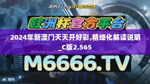 2024年新澳门天天开好彩,精细化解读说明_C版2.565