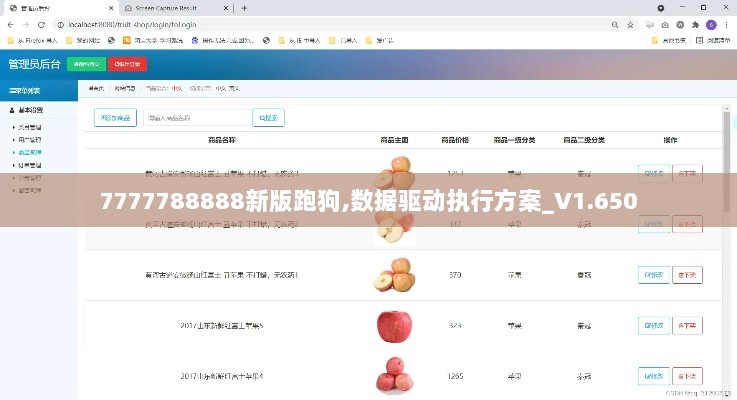 7777788888新版跑狗,数据驱动执行方案_V1.650