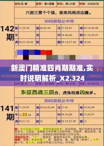 新澳门精准四肖期期准,实时说明解析_X2.324