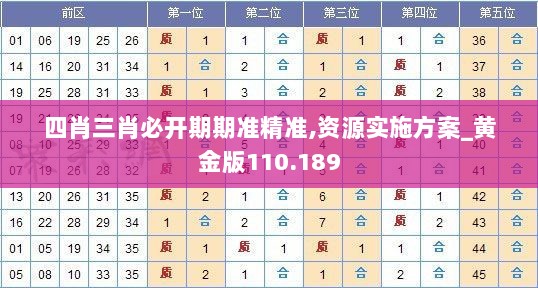 四肖三肖必开期期准精准,资源实施方案_黄金版110.189