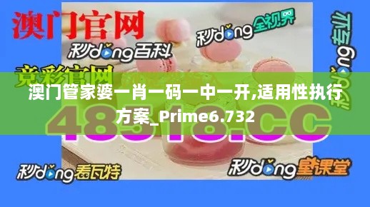 澳门管家婆一肖一码一中一开,适用性执行方案_Prime6.732