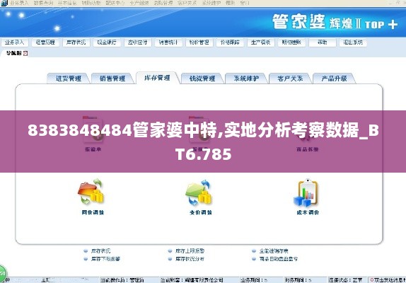 8383848484管家婆中特,实地分析考察数据_BT6.785