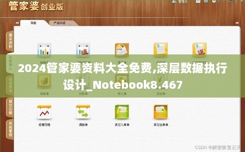 2024管家婆资料大全免费,深层数据执行设计_Notebook8.467