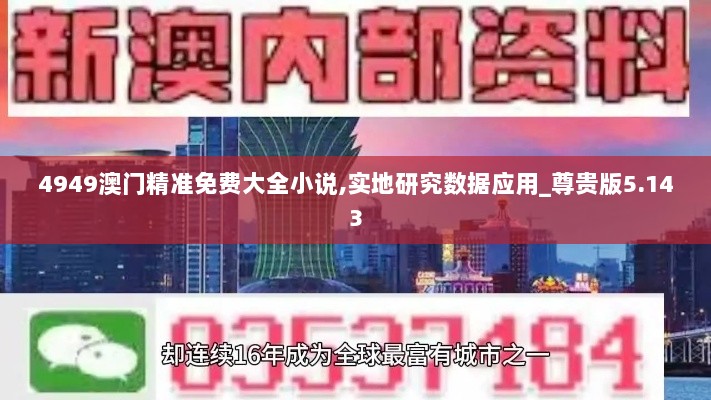 4949澳门精准免费大全小说,实地研究数据应用_尊贵版5.143