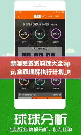 新澳免费资料库大全app,全面理解执行计划_PT6.676