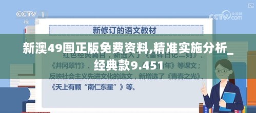 新澳49图正版免费资料,精准实施分析_经典款9.451