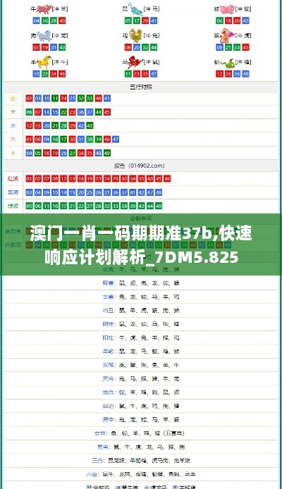 澳门一肖一码期期准37b,快速响应计划解析_7DM5.825