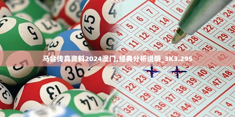 马会传真资料2024澳门,经典分析说明_3K3.295