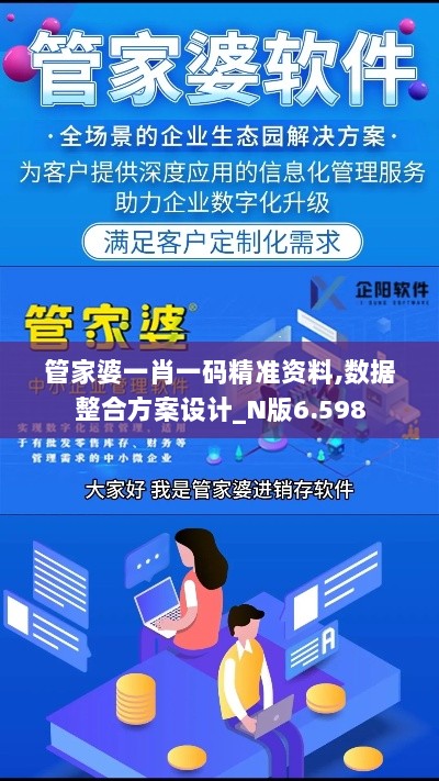 管家婆一肖一码精准资料,数据整合方案设计_N版6.598