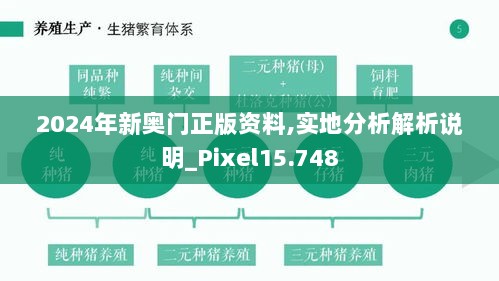 2024年新奥门正版资料,实地分析解析说明_Pixel15.748