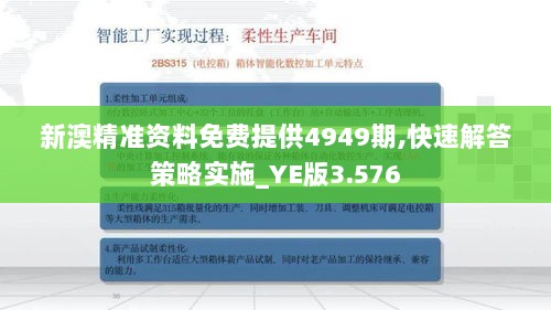 新澳精准资料免费提供4949期,快速解答策略实施_YE版3.576