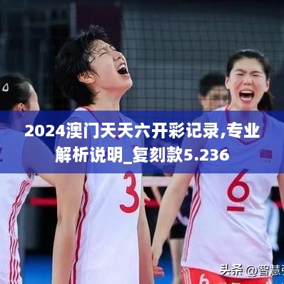 2024澳门天天六开彩记录,专业解析说明_复刻款5.236