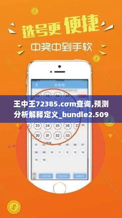 王中王72385.cσm查询,预测分析解释定义_bundle2.509