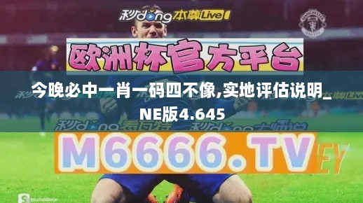 今晚必中一肖一码四不像,实地评估说明_NE版4.645