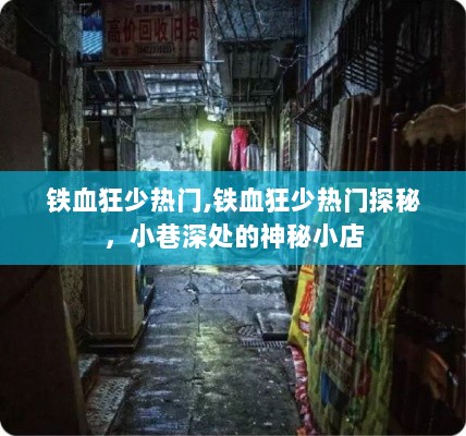 铁血狂少热门探秘，小巷深处的神秘小店