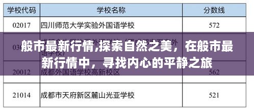 般市最新行情下的自然探索之旅，寻找内心的平静与宁静