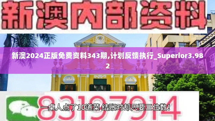 新澳2024正版免费资料343期,计划反馈执行_Superior3.982