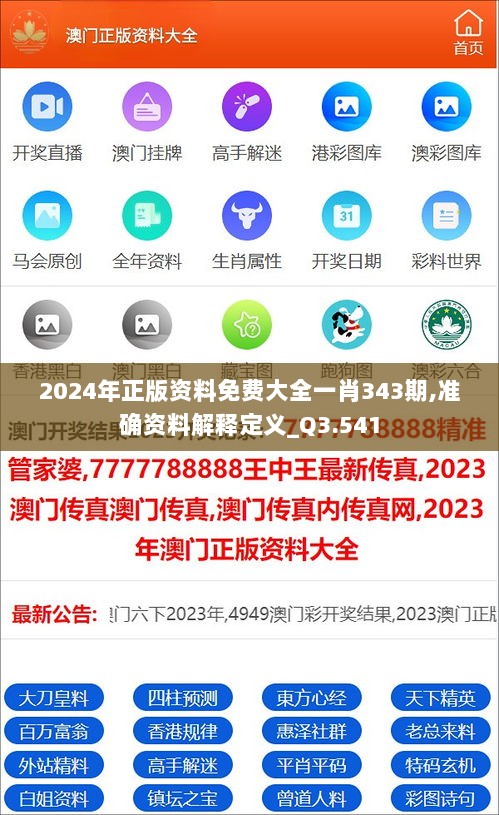 2024年正版资料免费大全一肖343期,准确资料解释定义_Q3.541