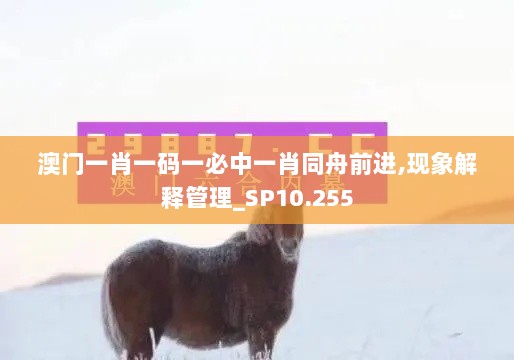 澳门一肖一码一必中一肖同舟前进,现象解释管理_SP10.255