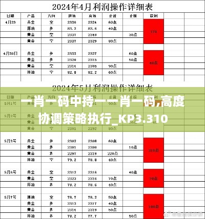 一肖一码中持一一肖一码,高度协调策略执行_KP3.310