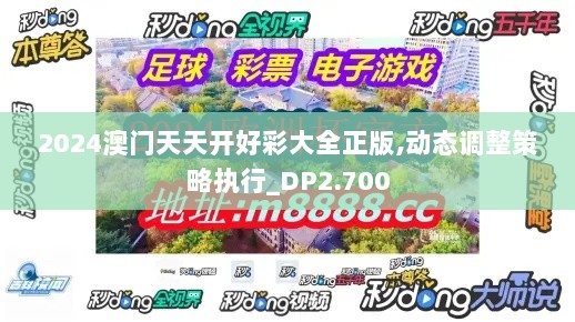 2024澳门天天开好彩大全正版,动态调整策略执行_DP2.700