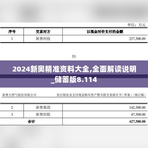 2024新奥精准资料大全,全面解读说明_储蓄版8.114