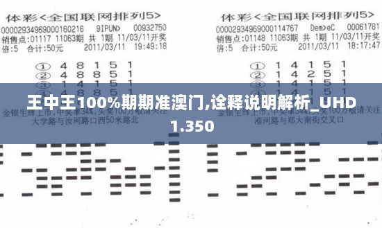 王中王100%期期准澳门,诠释说明解析_UHD1.350