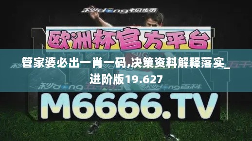 管家婆必出一肖一码,决策资料解释落实_进阶版19.627