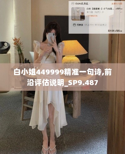 白小姐449999精准一句诗,前沿评估说明_SP9.487